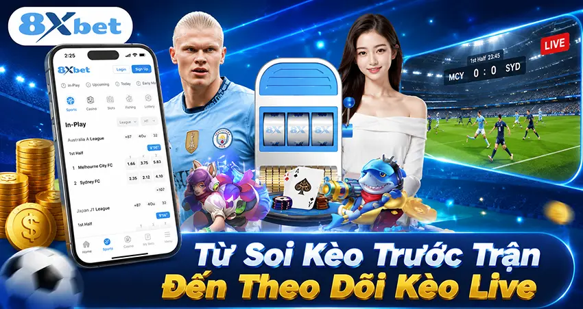 Từ Soi Kèo Trước Trận Đến Theo Dõi Kèo Live